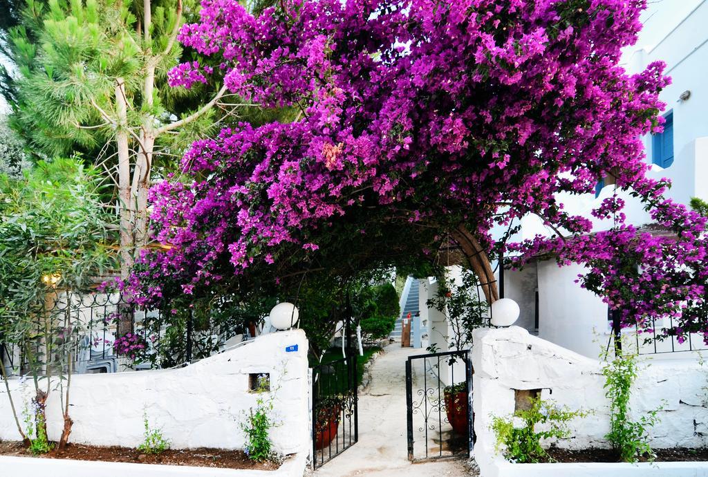 Misket Hotel Bodrum Гумушлук Екстериор снимка